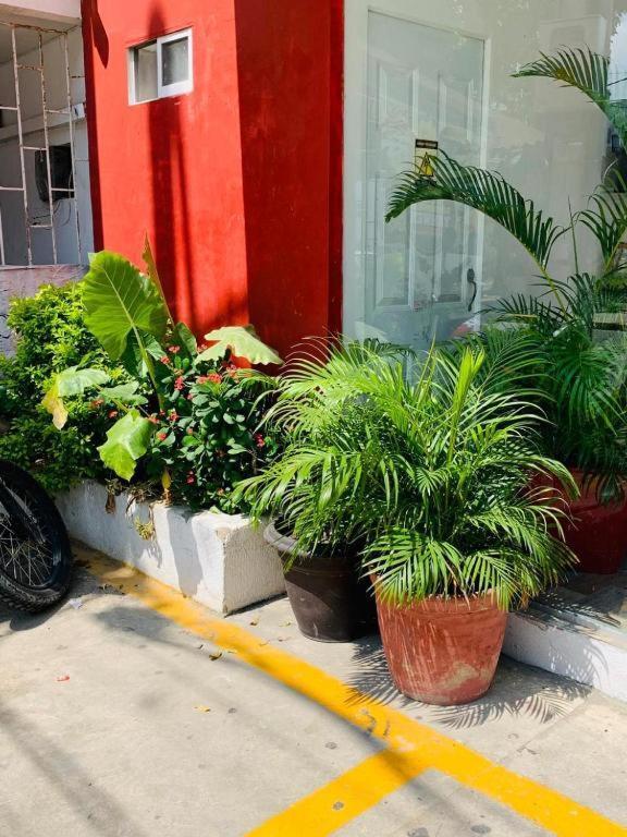 Hotel Bellamar Cartagena Екстер'єр фото